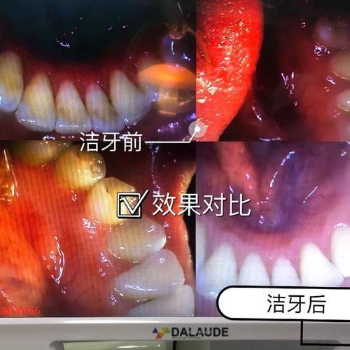 舒齿口腔门诊部擅长项目：