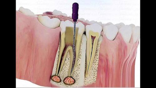 文山市雅芝口腔诊所地址电话及营业时间