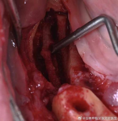 拜博口腔诊所医生名单及擅长领域: