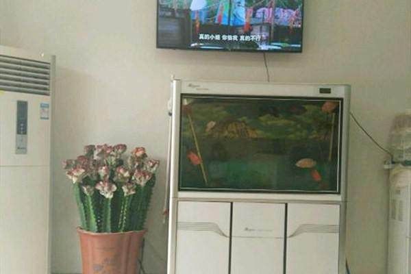 保定正立口腔门诊预约挂号方式：