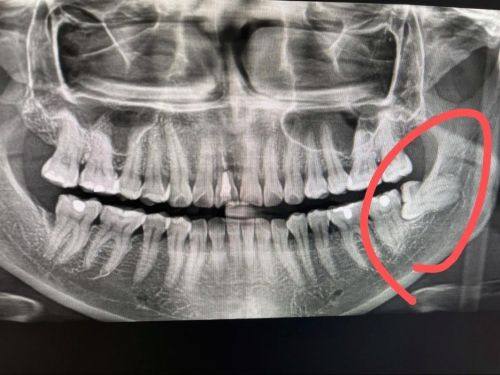 金帮明医生怎么预约？