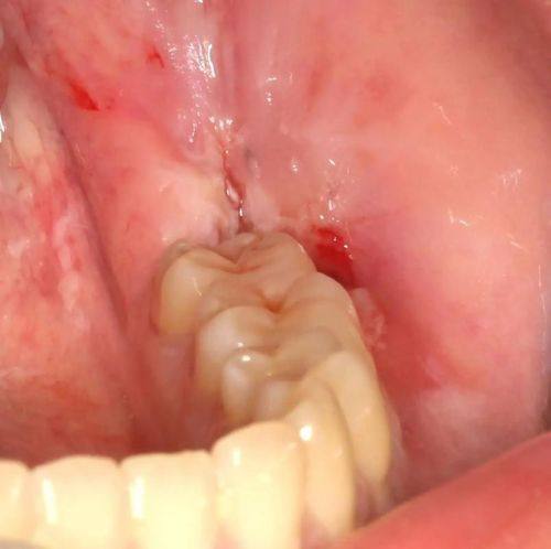 北京朝阳佳美口腔（三里屯店）擅长项目