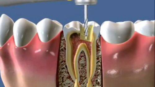 湖南省永州市零陵区妇幼保健院口腔科预约挂号方式：