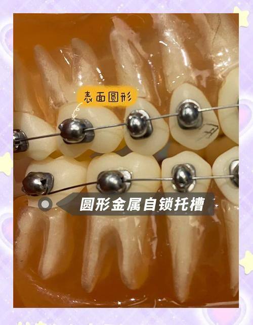 石家庄和协口腔医院医生名单及擅长领域