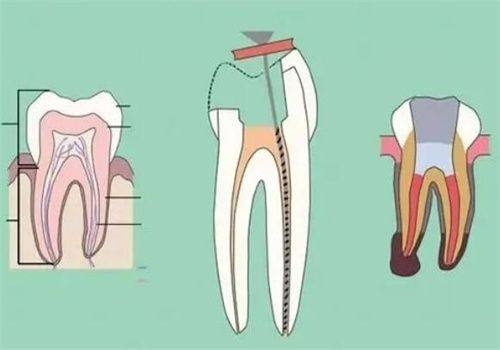 滨州京滨医大口腔门诊部地址电话及营业时间：