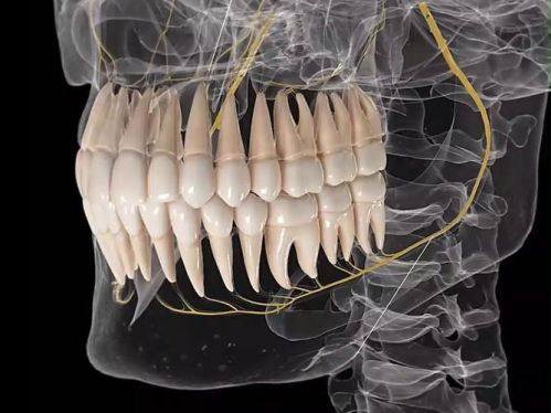 玉溪松鼠口腔医院地址电话及营业时间