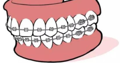 五、临床超长寿命实例的启示