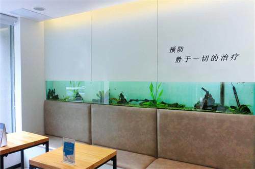 惠州惠齿健口腔门诊擅长项目：