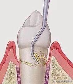 江苏泰州泰兴羌溪口腔地址电话及营业时间